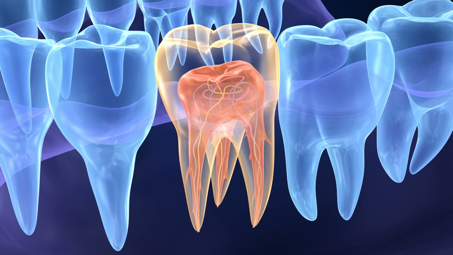 endodontia - Incantare Odontologia - SJC